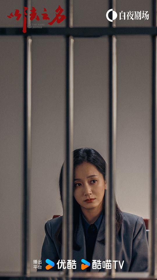 以法之名 剧照1