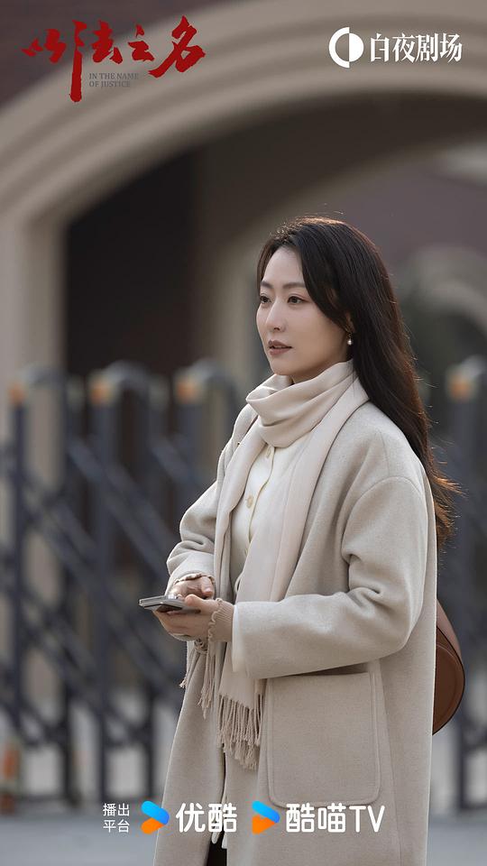 以法之名 剧照3