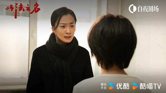 以法之名 剧照10