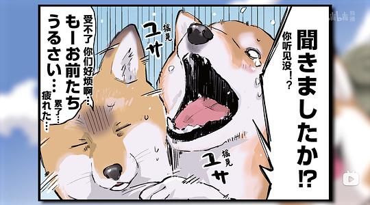 世界末日与柴犬同行 剧照6