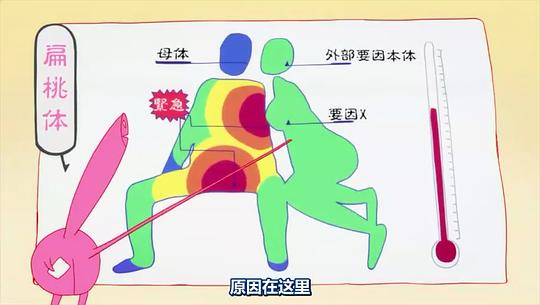 四叠半神话大系 剧照7