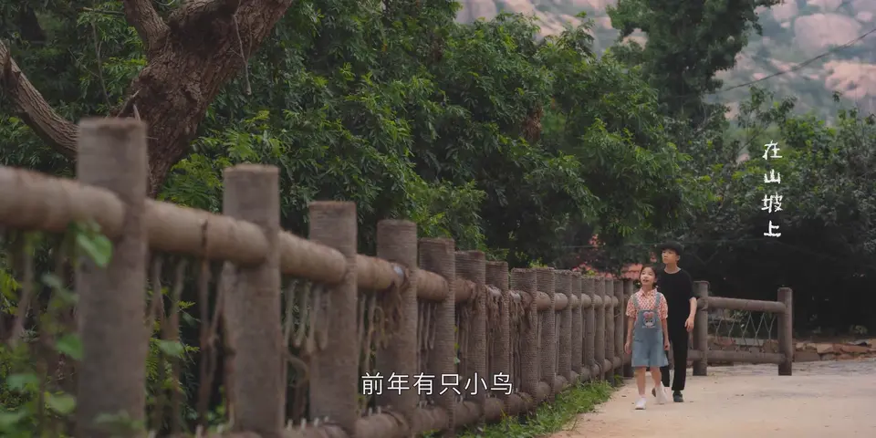 樱桃琥珀 剧照3