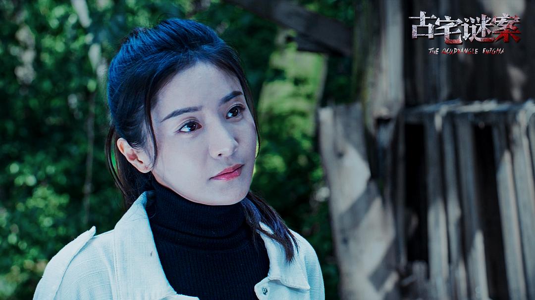 古宅谜案 剧照1