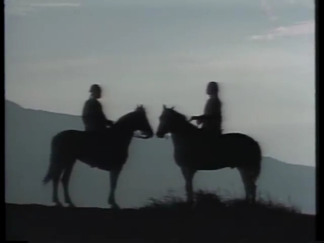 天涯女儿心 剧照1