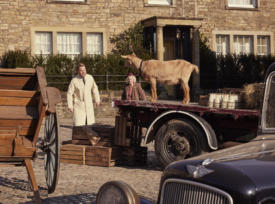 万物生灵 第六季 剧照2