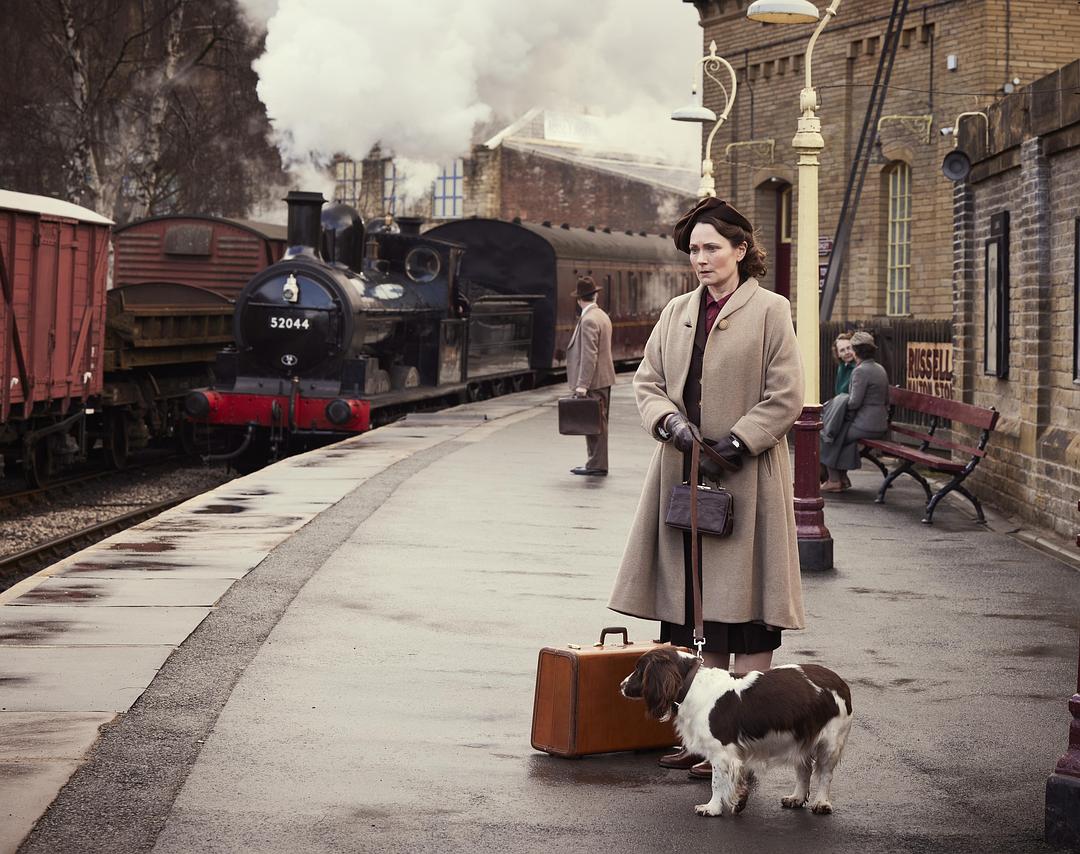 万物生灵 第六季 剧照6