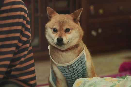 台风商社 剧照6