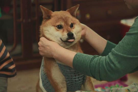 台风商社 剧照10