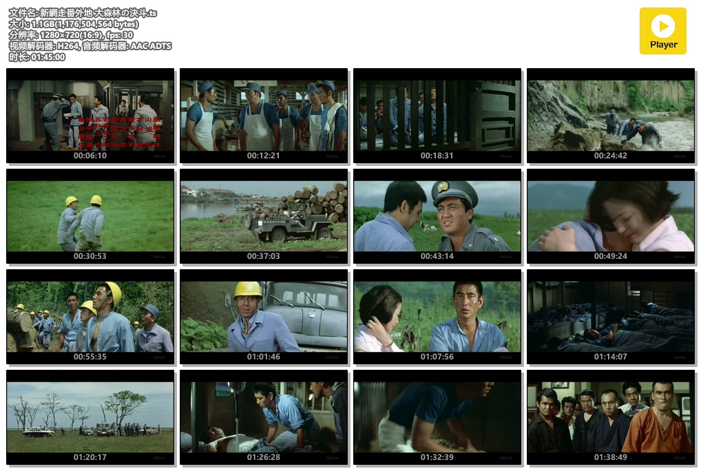 新网走番外地:大森林的决斗 剧照1