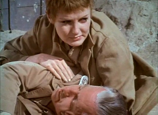 北非沙漠行动 剧照4