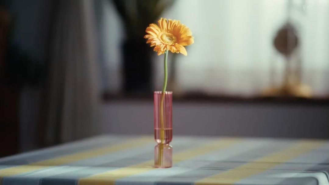 如果是这样的家人,何不舍弃? 剧照5