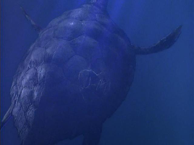 深海巨灵大海龟 剧照2