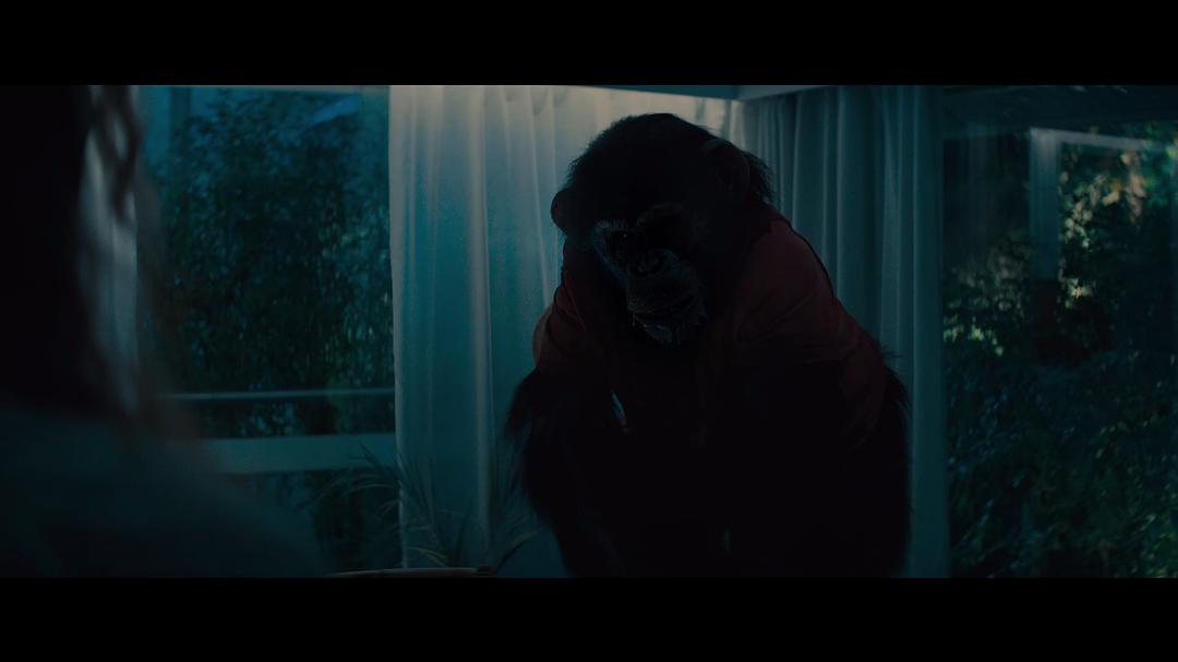 猩疯血雨 剧照2