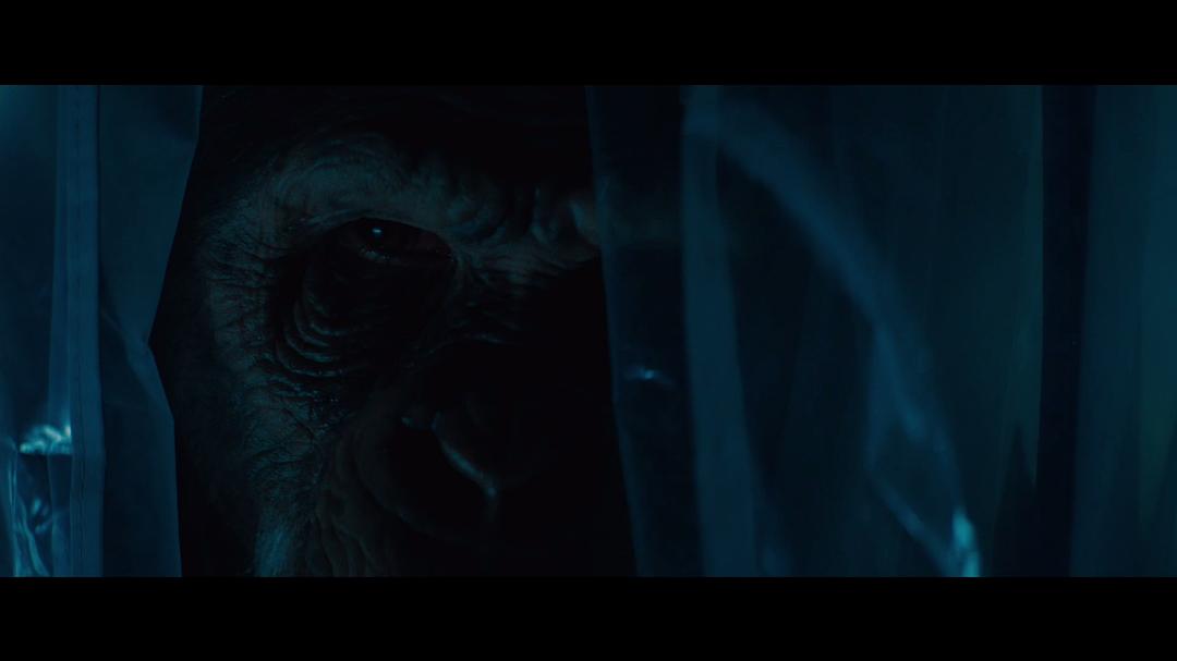 猩疯血雨 剧照3