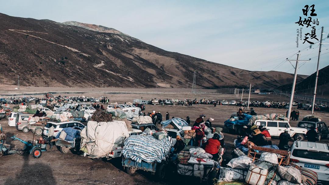 旺姆的夏天 剧照4