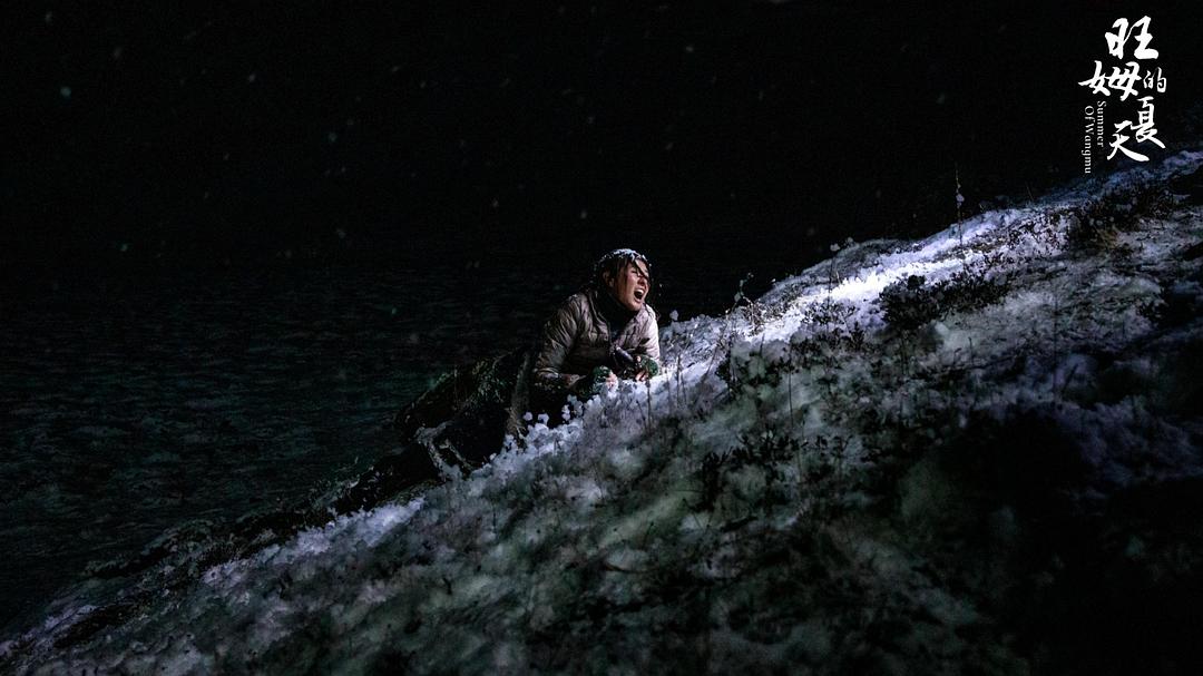 旺姆的夏天 剧照5