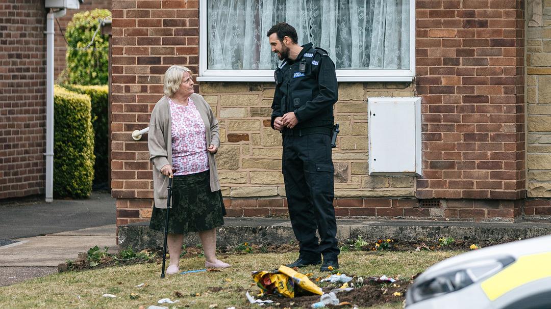 危情蜻蜓 剧照2