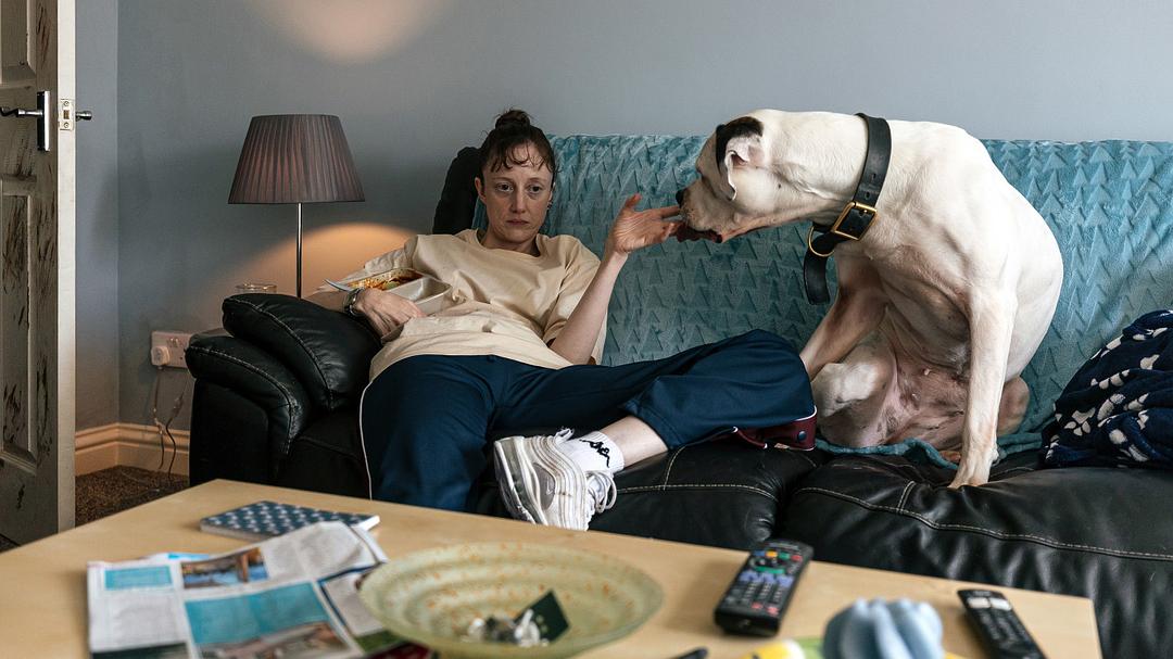 危情蜻蜓 剧照5