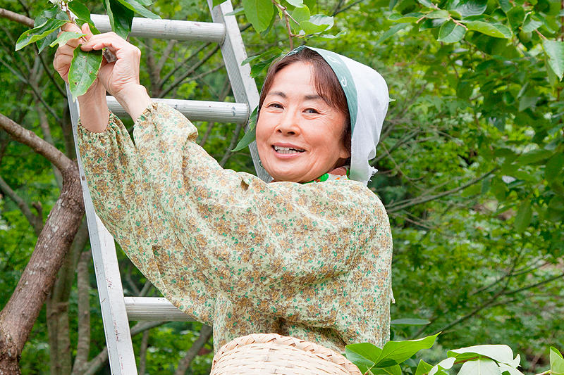 多彩人生 剧照8