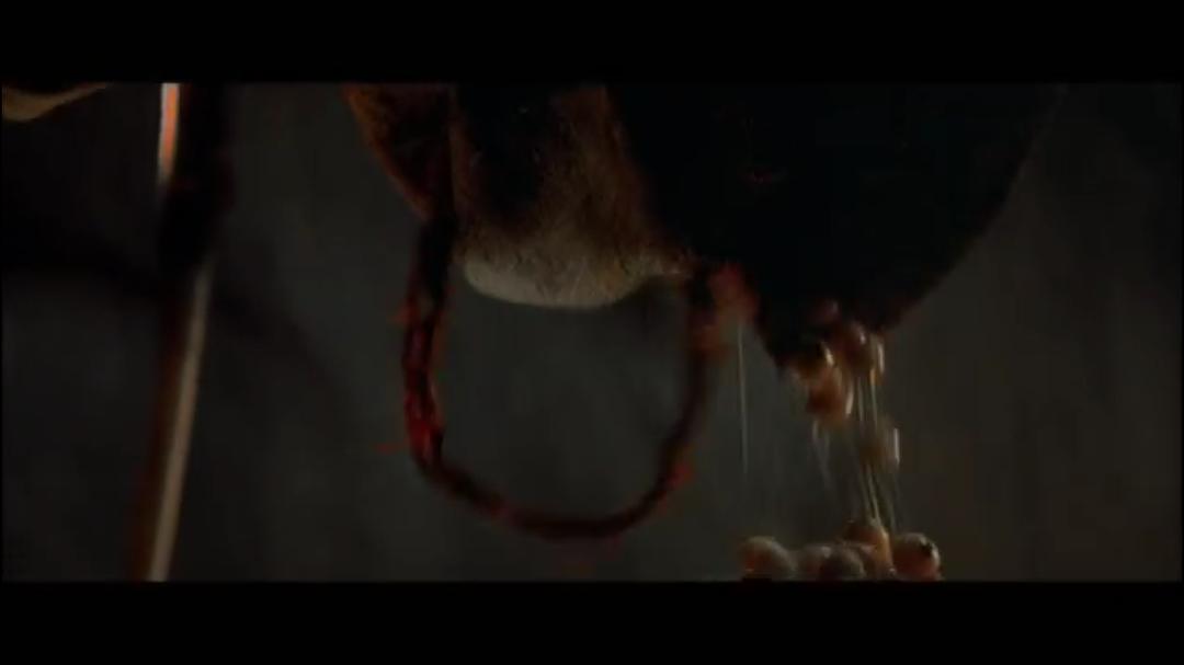 太平洋王子 剧照7