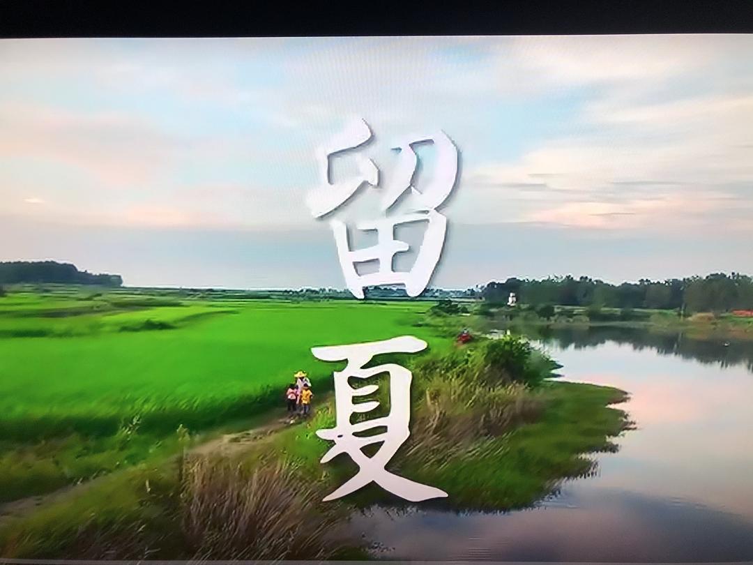 留夏 剧照2