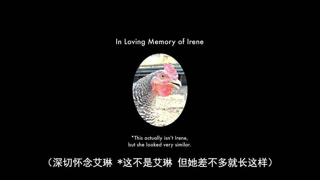 艾伦·德杰尼勒斯:请你许可 剧照4