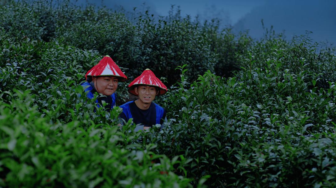 茶缘 剧照7