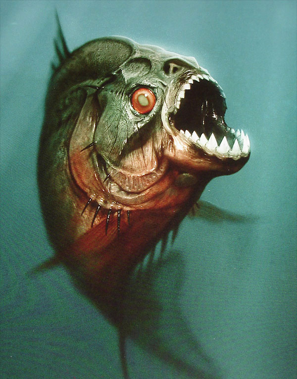 食人鱼3D 剧照3