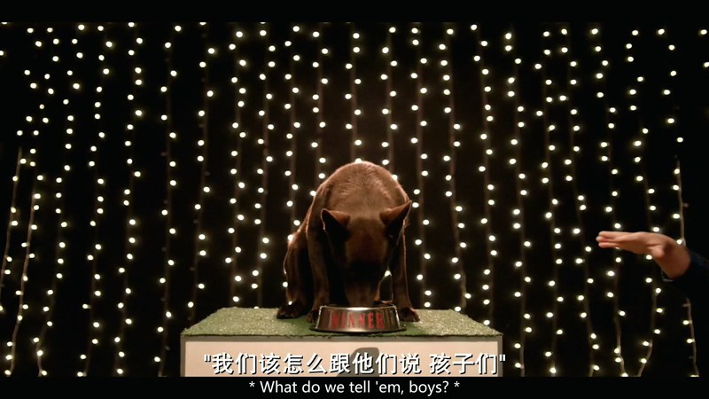 Koko:红犬历险记 剧照4