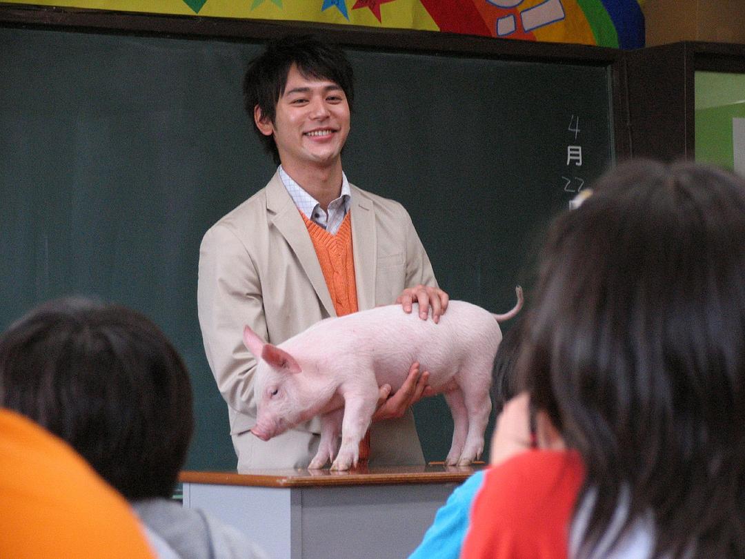 小猪教室 剧照1