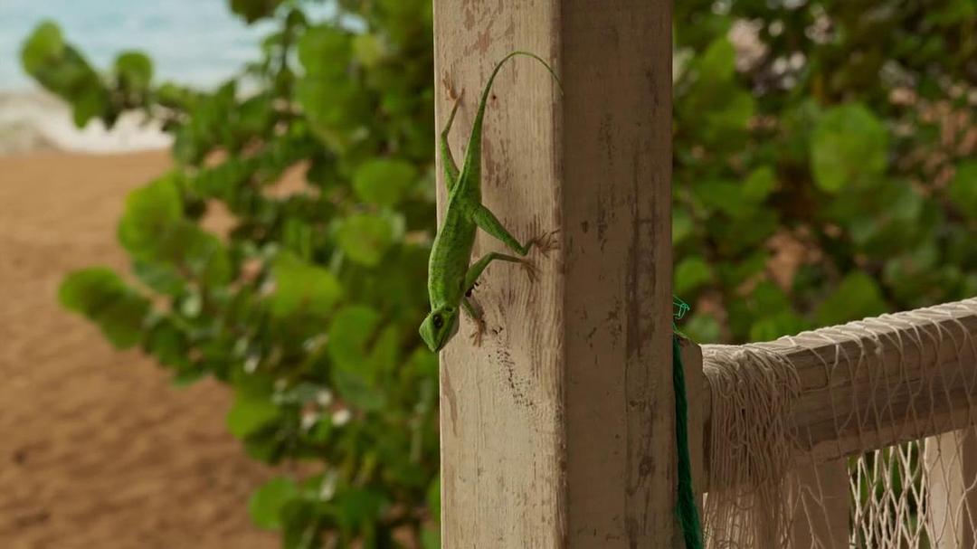 天堂岛疑云 第九季 剧照4