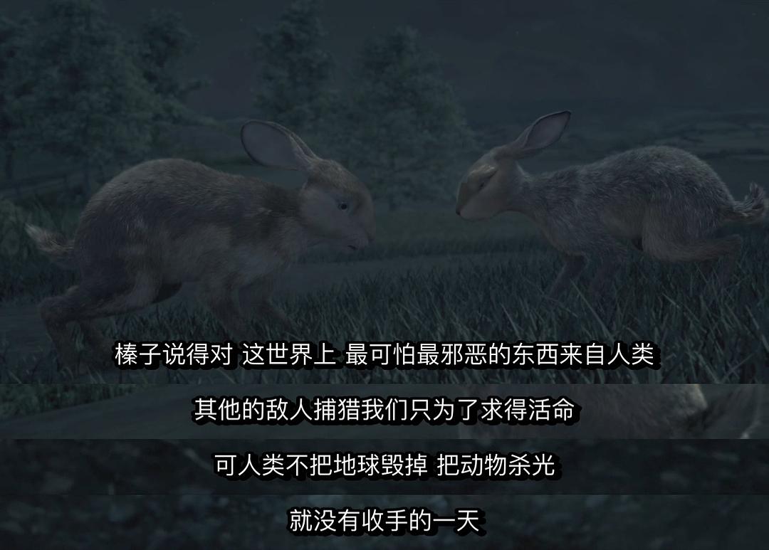 兔子共和国 剧照10