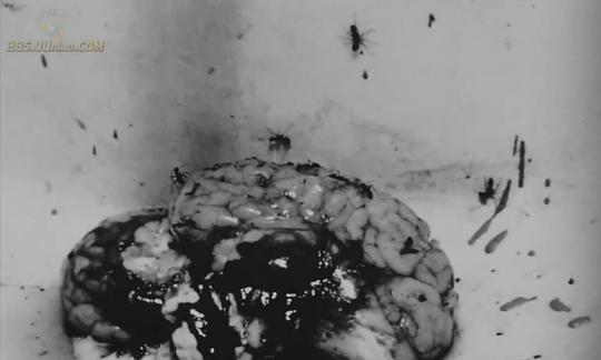 死亡密码 剧照9