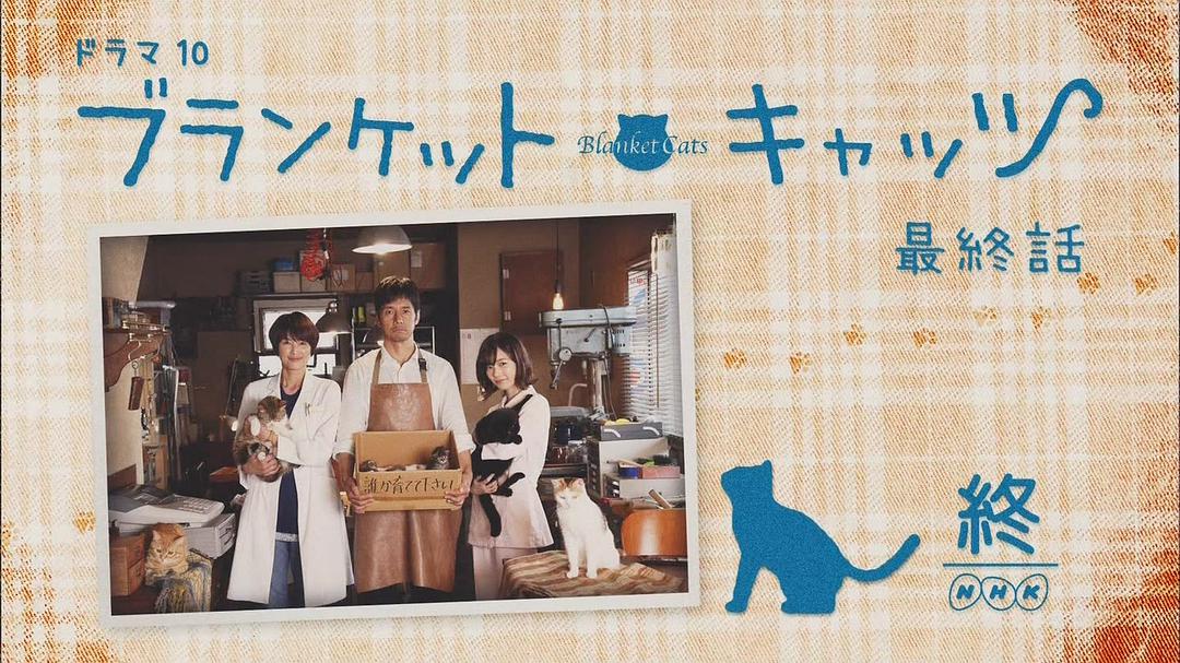 毛毯猫 剧照6