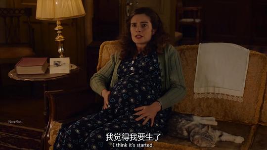 万物生灵:2023圣诞特别集 剧照8