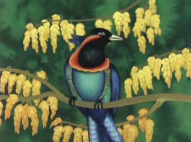仙境 剧照4