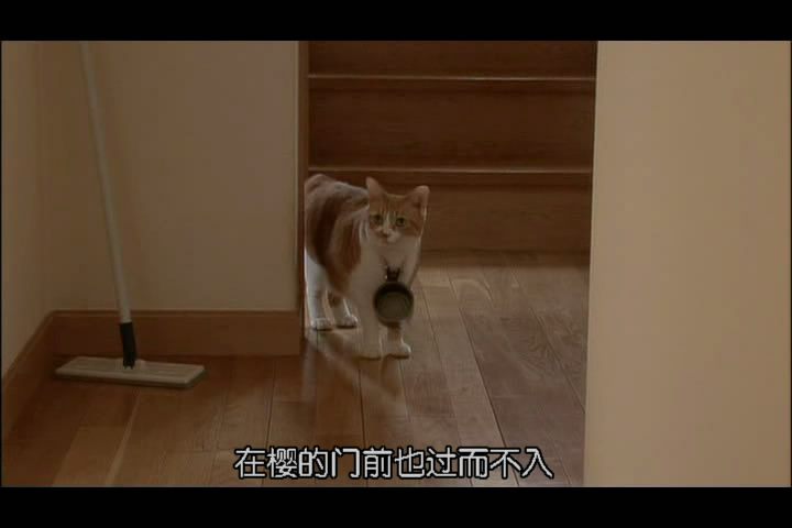 猫咪物语3 剧照3