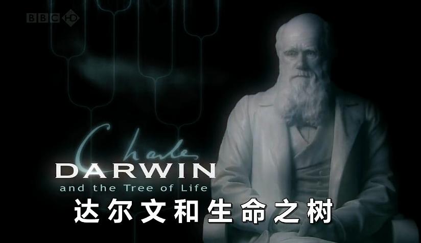 达尔文和生命之树 剧照2