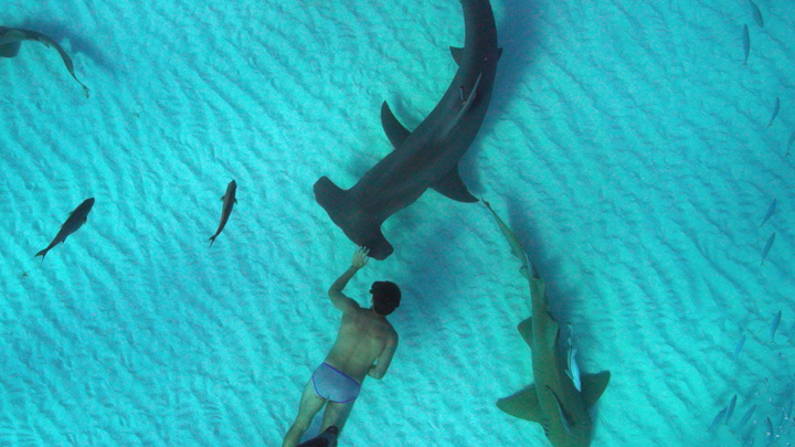 鲨鱼海洋:灭绝 剧照7
