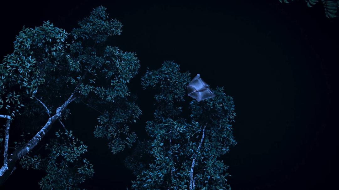 地球的夜晚 剧照10
