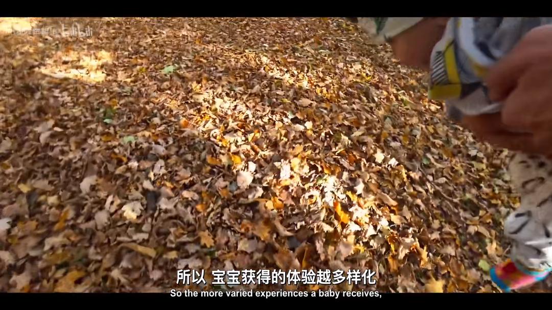 宝宝的 第一年 第二季 剧照2