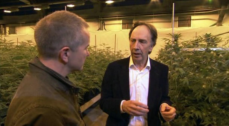 BBC 地平线系列:大麻:罪恶之种? 剧照2
