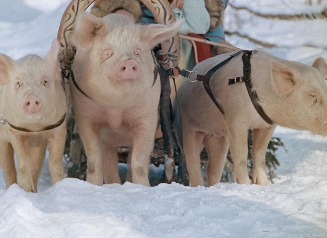 严寒老人 剧照4