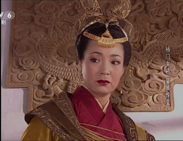 杨门女将之皇城惊变 剧照4