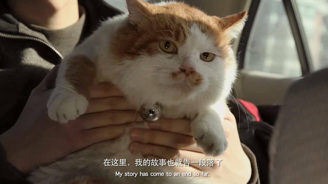 胖虎日记 剧照9