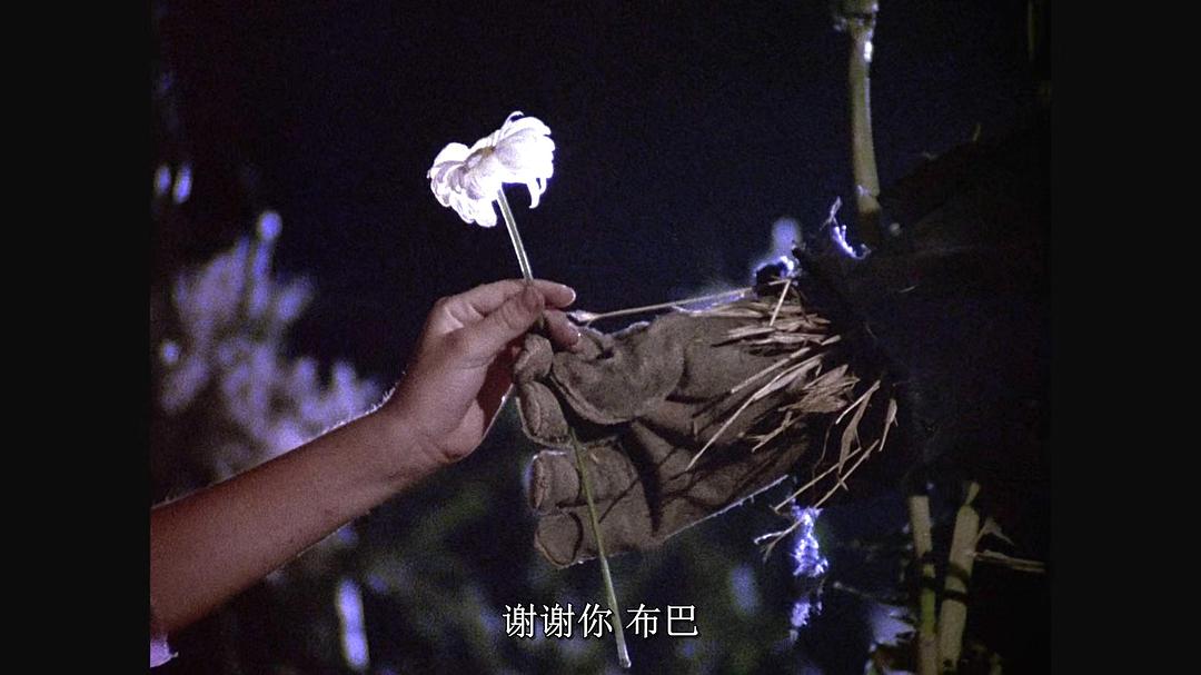 稻草人的黑夜 剧照1