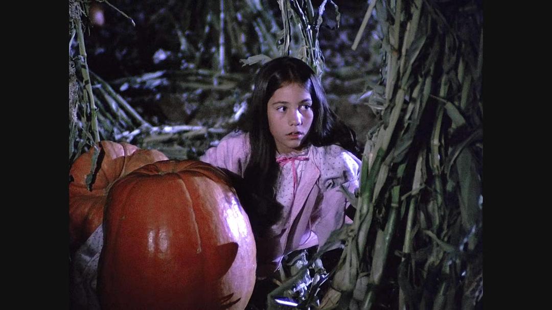 稻草人的黑夜 剧照2