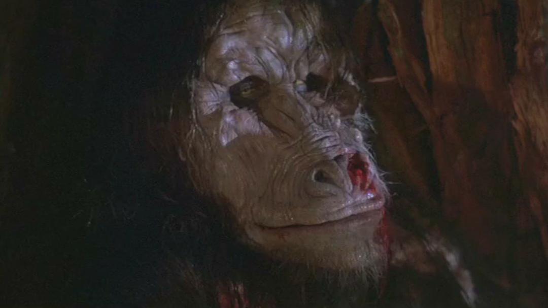 在地球染血 剧照3