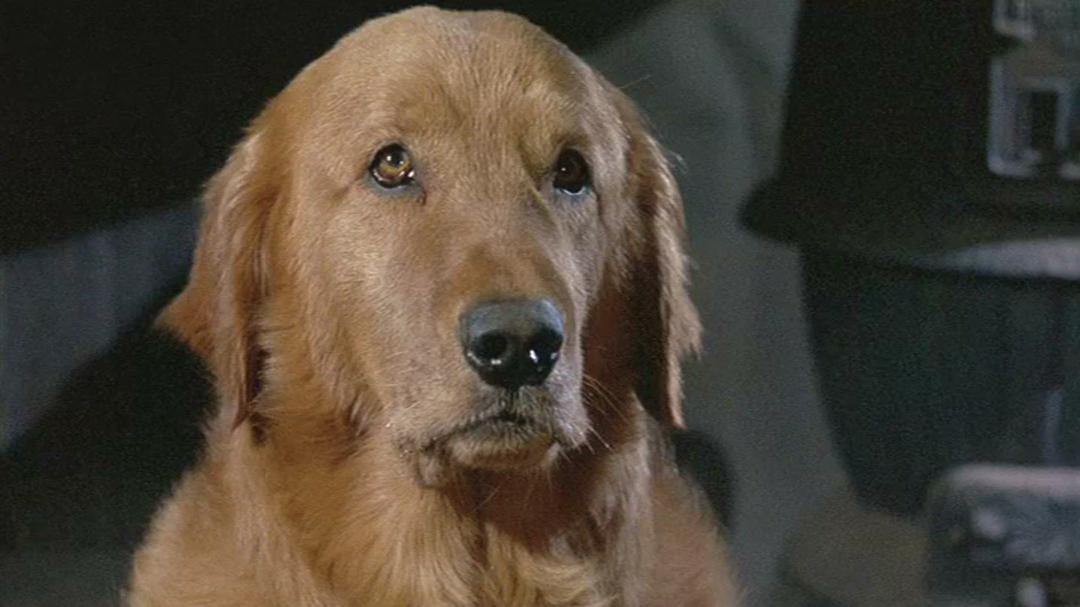 在地球染血 剧照4