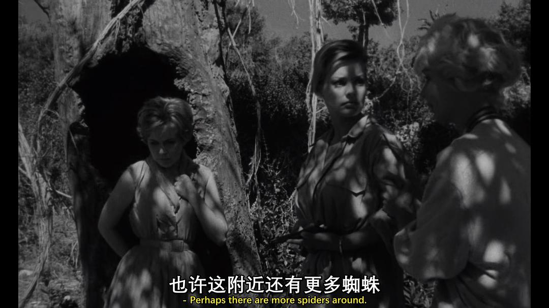 恐怖蜘蛛岛 剧照4